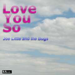 Fake Records: Joe Little and the Bugs - Love You So